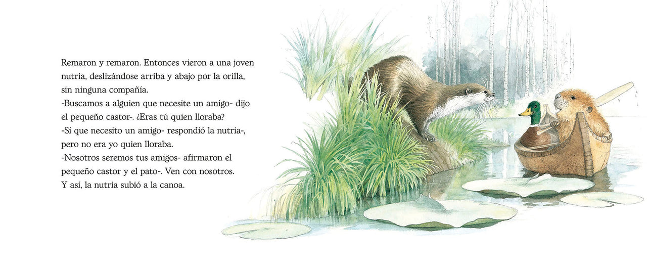 El pequeño castor