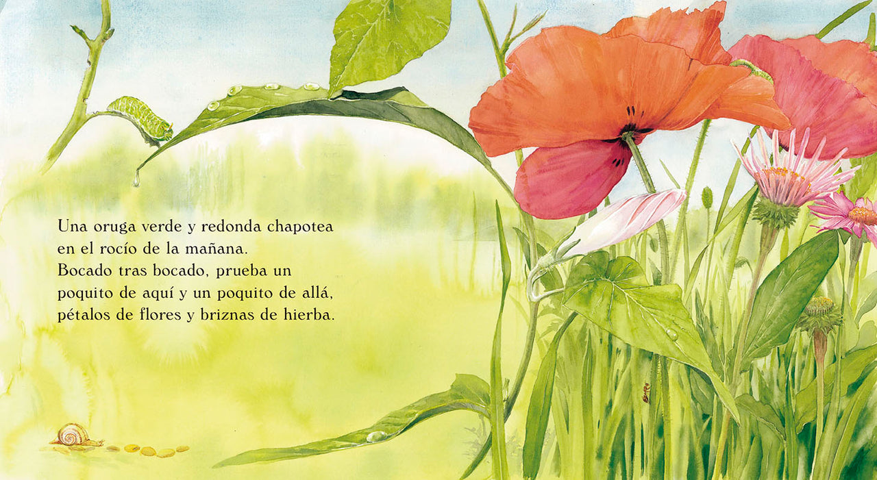 La oruga verde