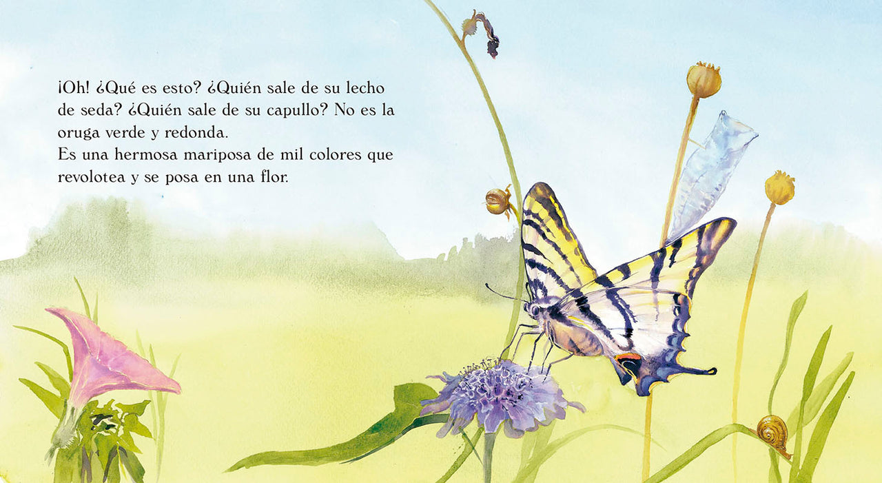 La oruga verde