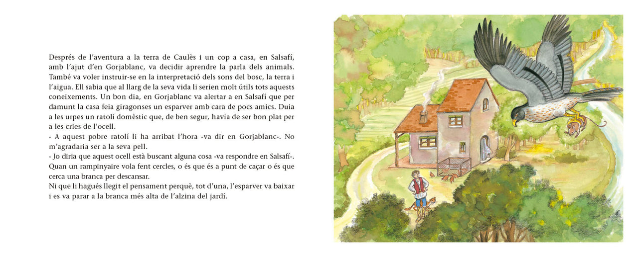 En Salsafí i els remences de Llémena
