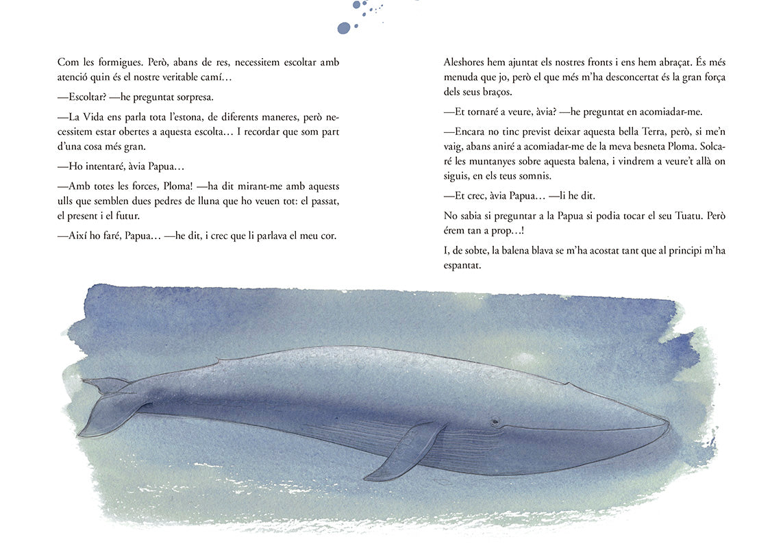 Diari secret de la Terra Buida