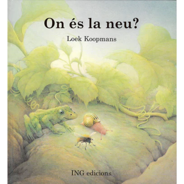 On és la neu?