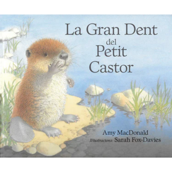 La gran dent del petit castor