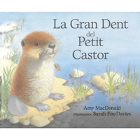 Thumbnail for La gran dent del petit castor