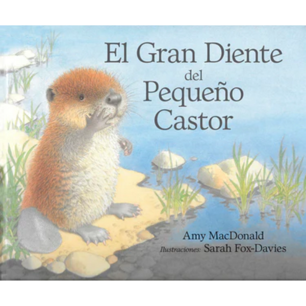 El gran diente del pequeño castor