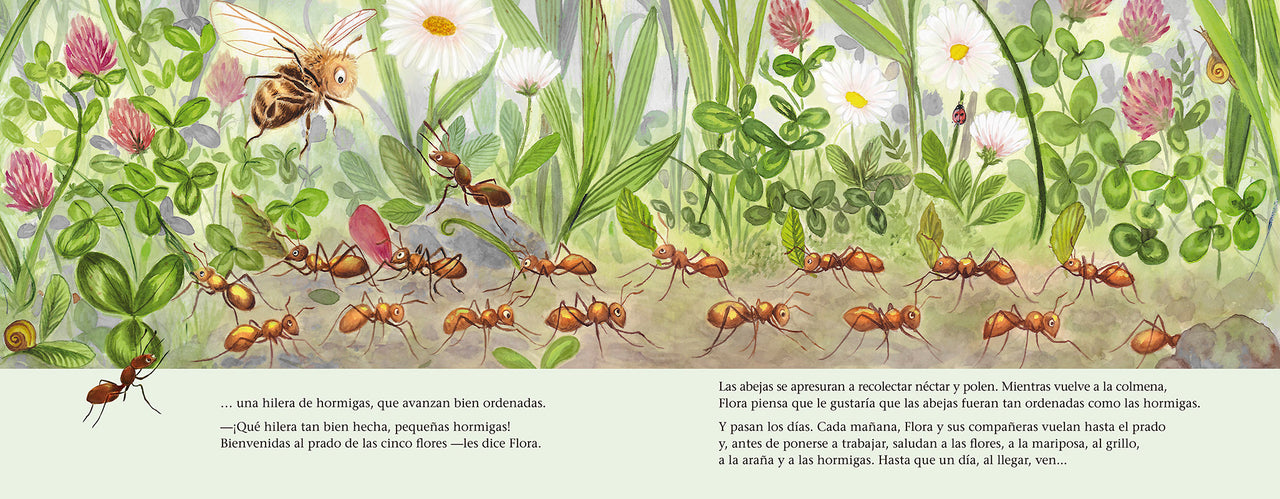 La abeja Flora y el prado de las cinco flores