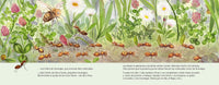 Thumbnail for La abeja Flora y el prado de las cinco flores